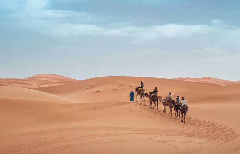 Camel train going through the desert