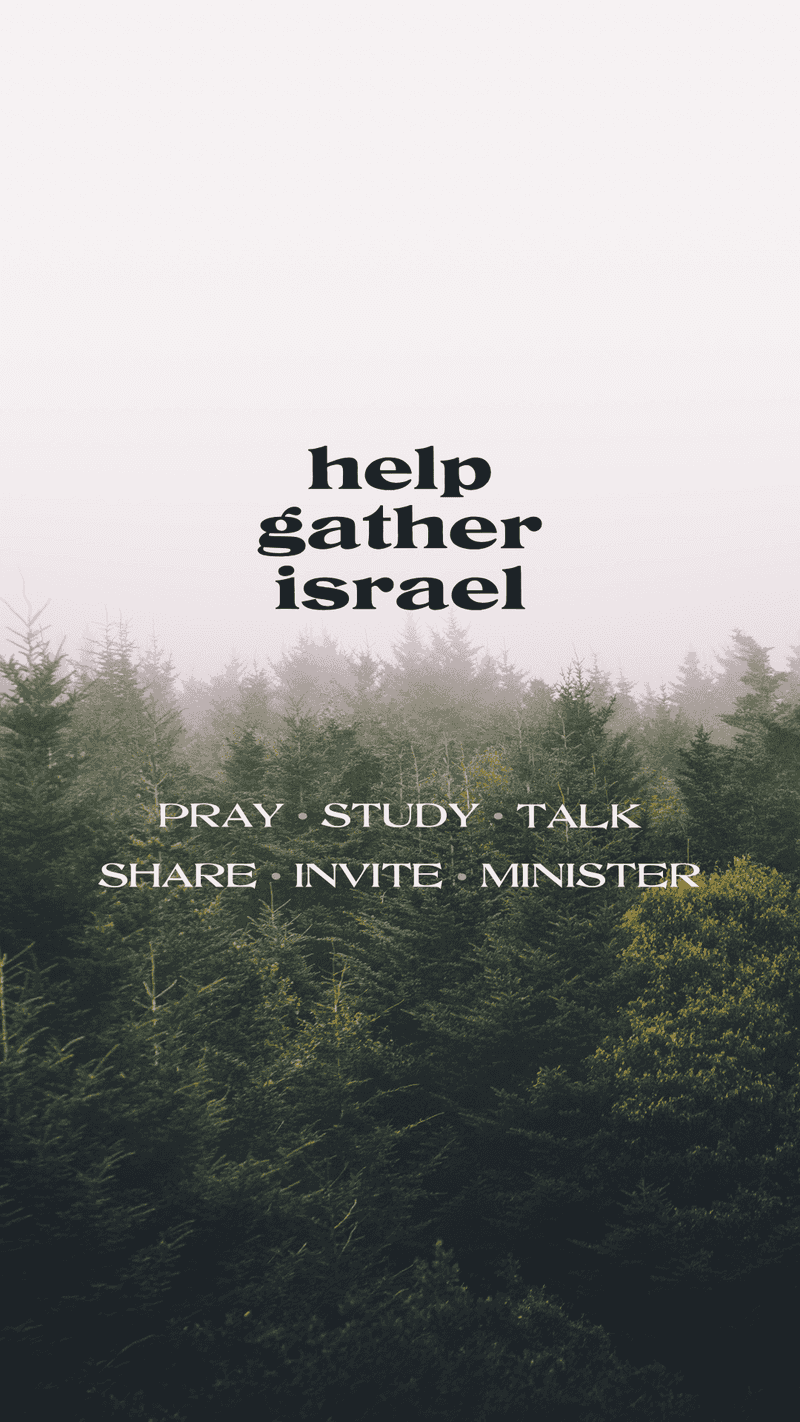 Photo: iPhone Wallpaper - Help Gather Israel - Forest