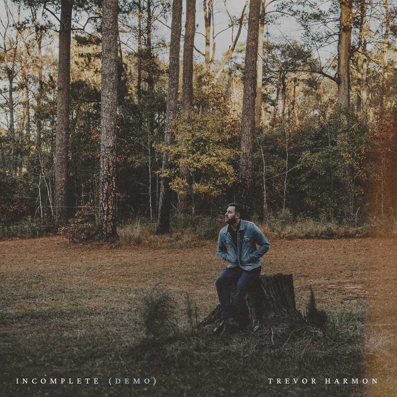 Incomplete (demo version) single cover